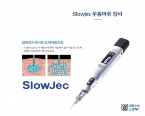 Slowjec 무통마취…